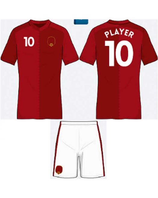 Futbol Takım Forması F-0219